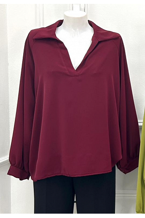 BLUS MED KRAGE OCH V-RINGNING